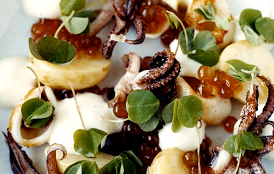 Have You Sampled The Nordic Cuisine Yet?